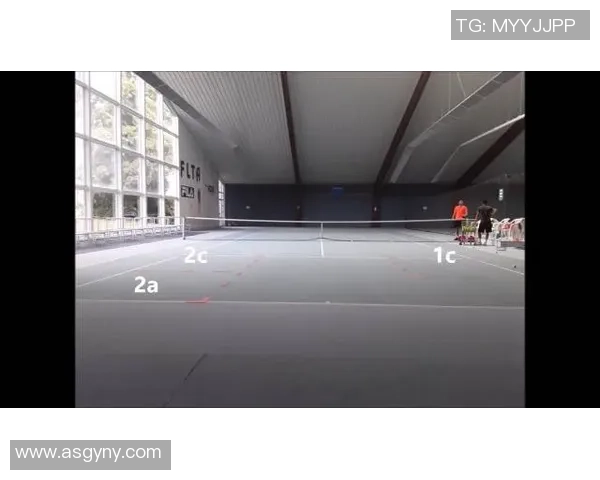 深圳网球队反击战术解析与实战应用探讨